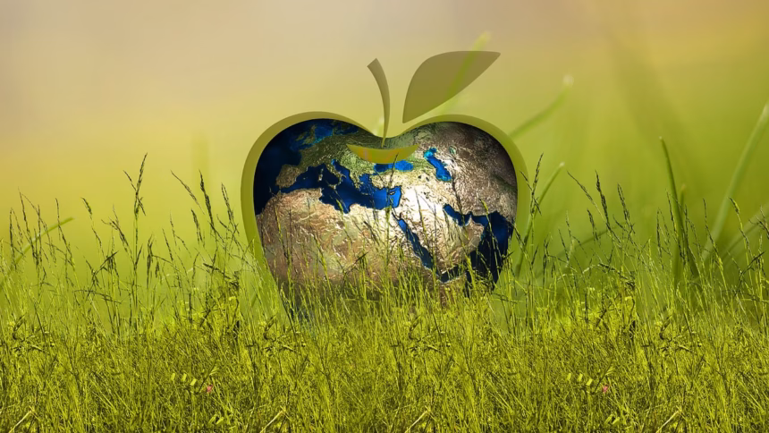 sustainability 3295824 1280