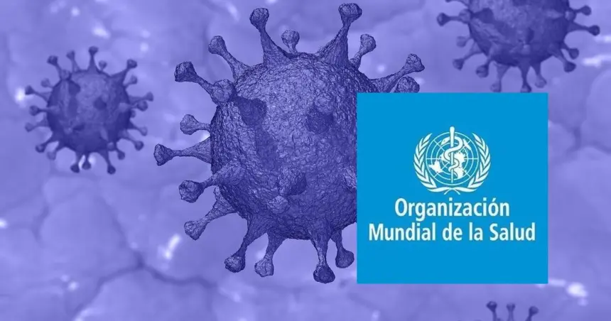 Organización Mundial de la Salud (OMS) informa sobre el brote de MERS-CoV.