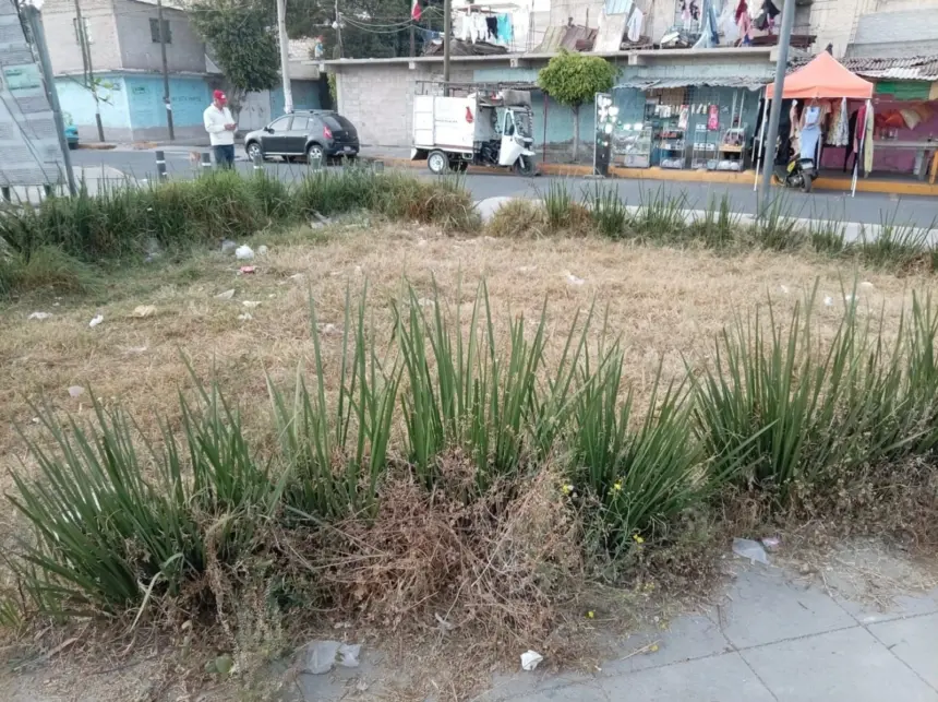 Parques en Chimalhuacán muestran deterioro y falta de mantenimiento en zonas públicas.