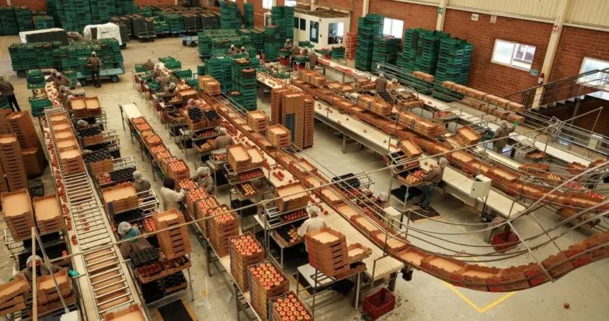 Las exportaciones de México alcanzan un récord histórico en 2025.