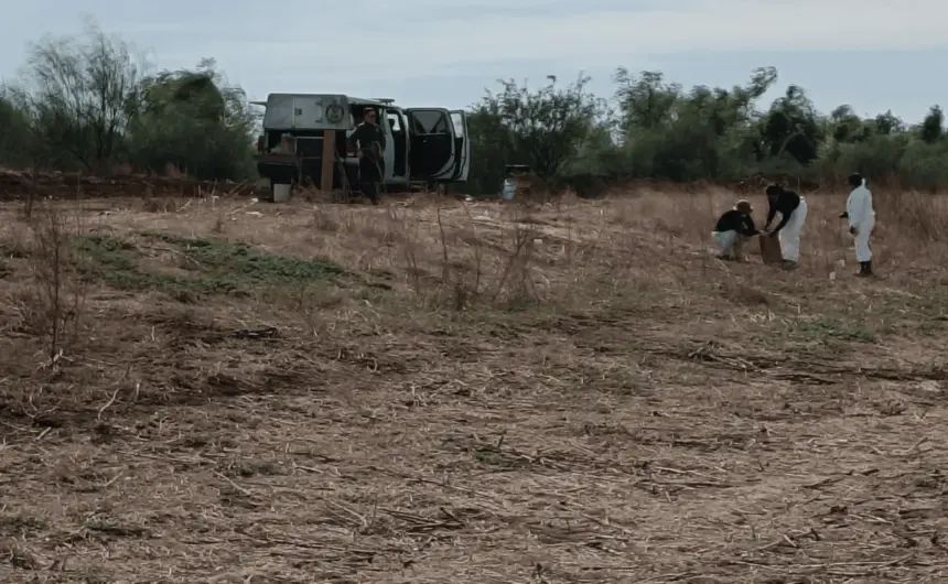 Restos óseos encontrados por colectivos de búsqueda en Ixtlahuacán, Jalisco.