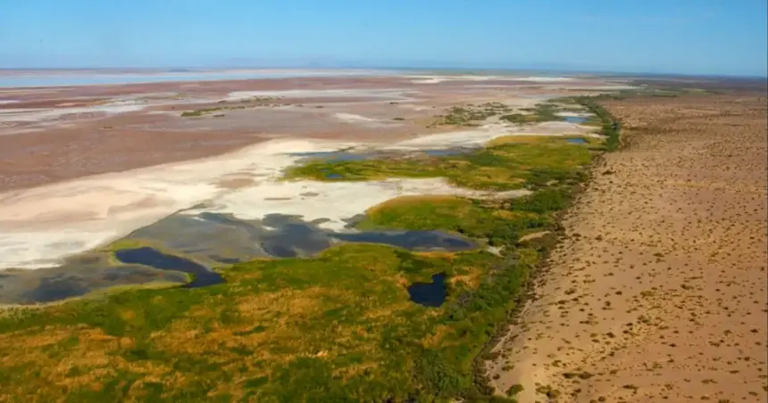 La colaboración binacional se centra en restaurar el ecosistema del delta y enfrentarse a la escasez de agua.