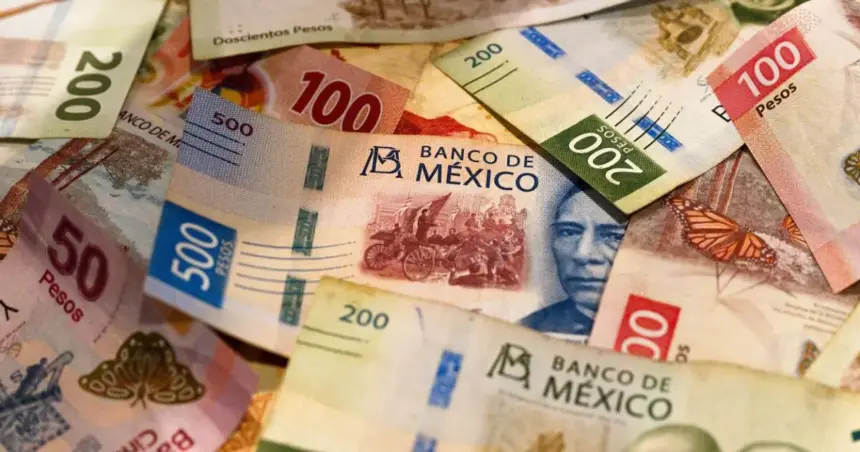 La miscelánea fiscal impone retenciones que amenazan la viabilidad del sector.