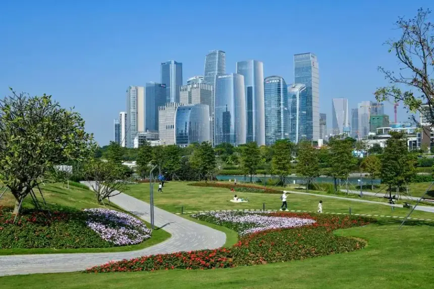 Los jóvenes emprendedores de Hong Kong encuentran oportunidades en Qianhai.