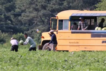 Trabajadores agrícolas enfrentan riesgos al permanecer más de lo permitido en el país, incluyendo deportaciones.